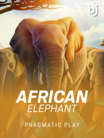 African Elephantpng